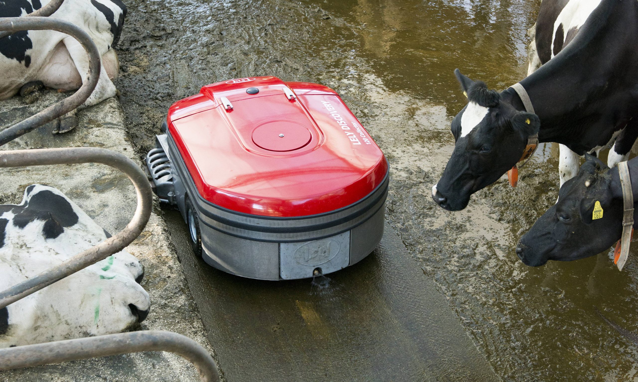 Digitaler Kuhstall: Saugroboter wie der Lely Collector reinigen Kuhställe selbsttätig 